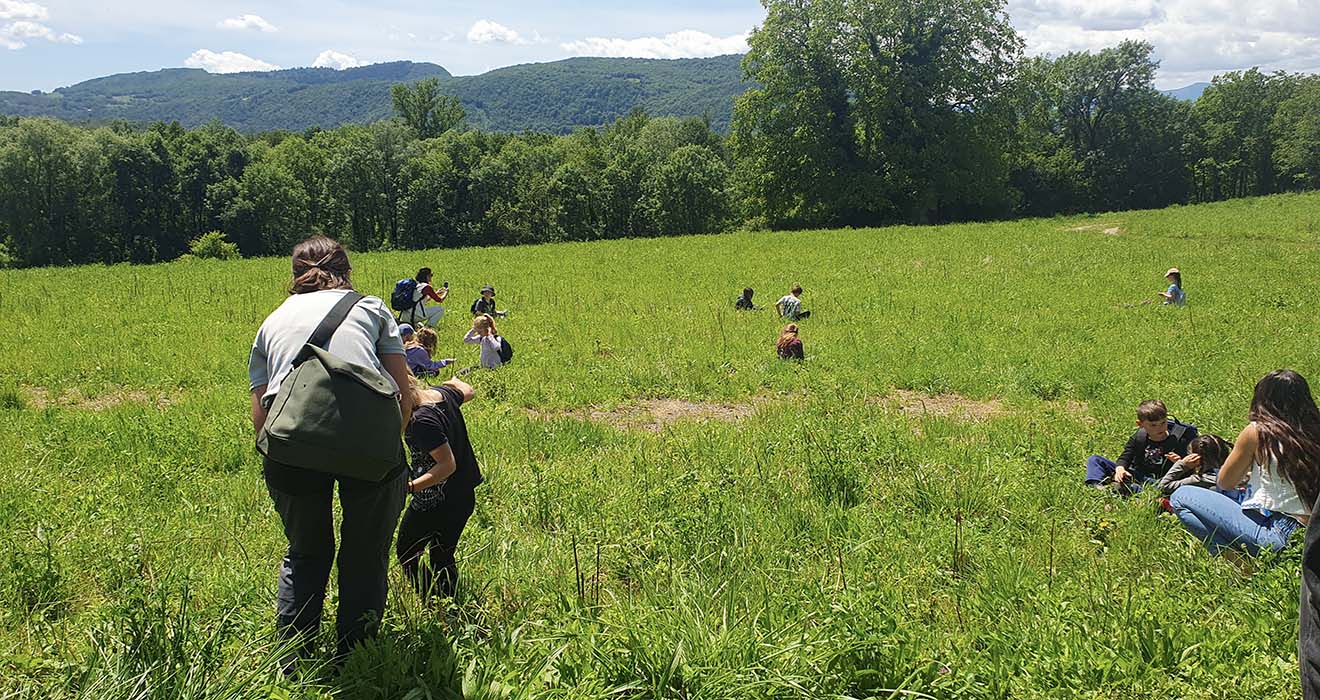 Groupe d'enfants observant la nature dans une prairie à Chindrieux