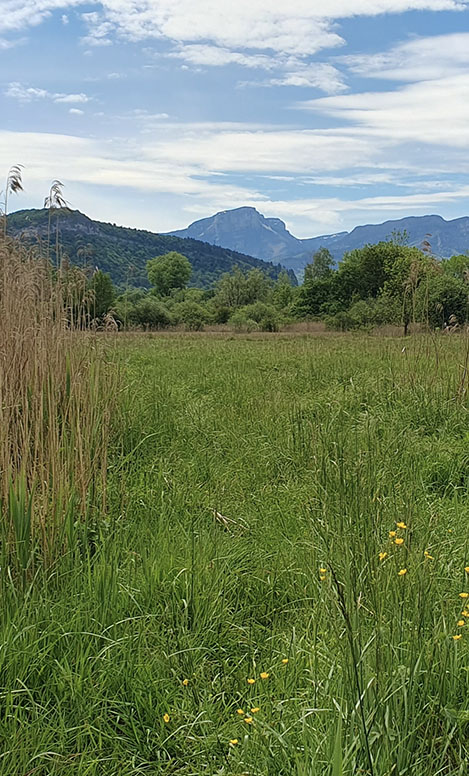 Paysage de prairie forêts et montagne en Savoie