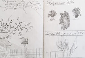 Dessins au crayon d'observation des arbres sur un cahier d'écolier